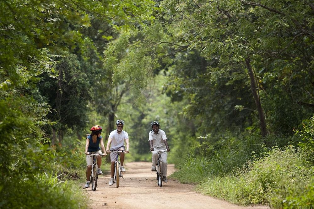 Hotel Sigiriya Exterior foto Biking at the Palarivattom Biodiversity Park
