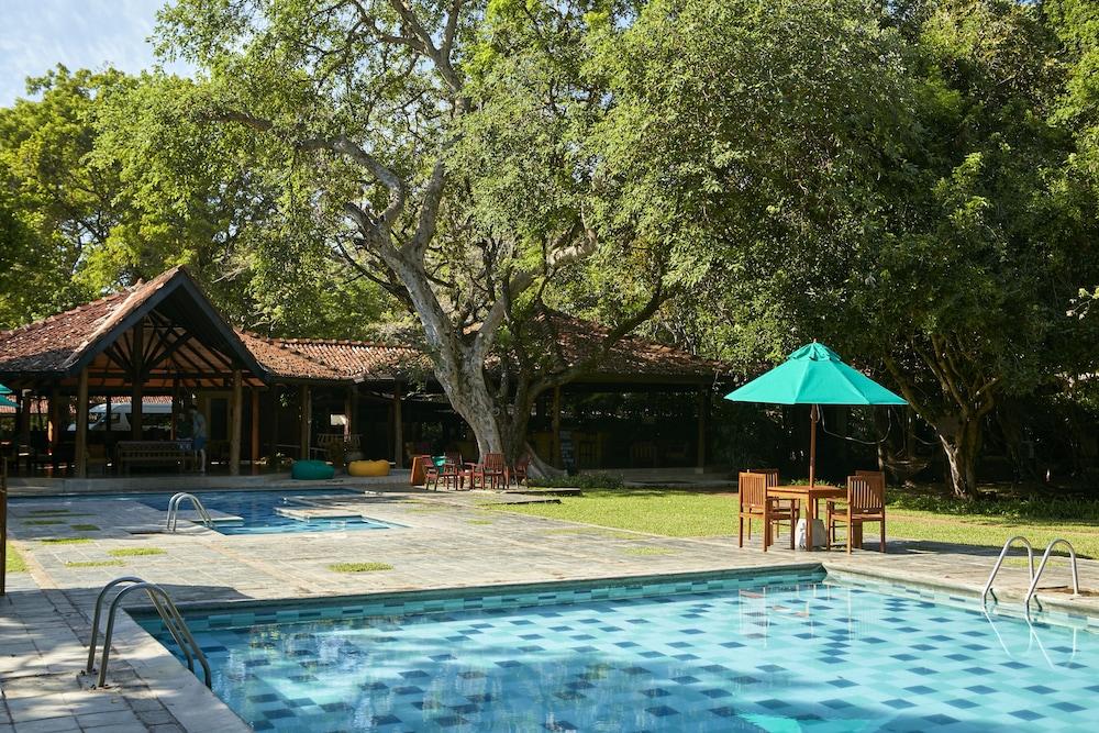Hotel Sigiriya Exterior foto The swimming pool at the hotel