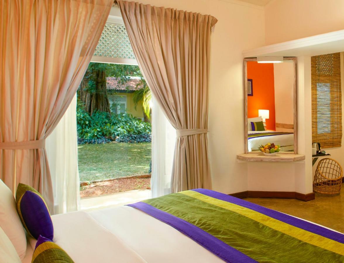 Hotel Sigiriya Exterior foto A room at the hotel